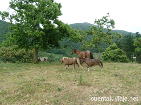 Naturaleza en Navarra